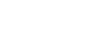 ASPECT_LOGO_WHITE